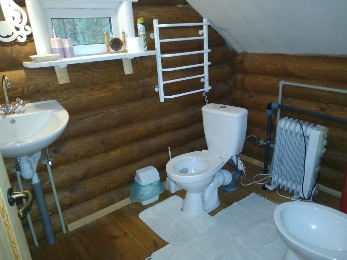 Загородные дома Eco dom v lesu Bila Krynytsya-23