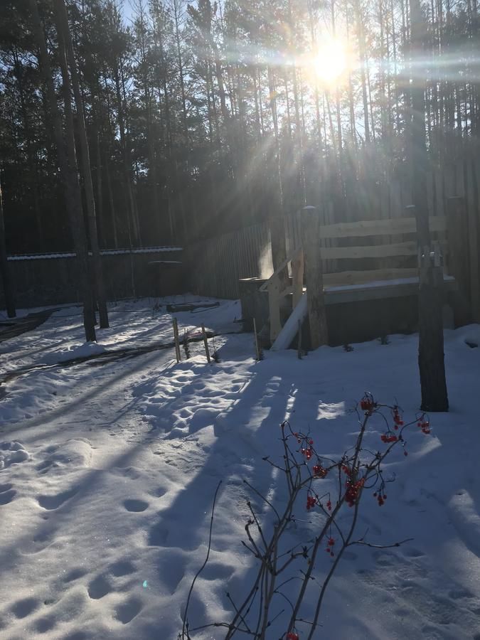 Загородные дома Eco dom v lesu Bila Krynytsya-25