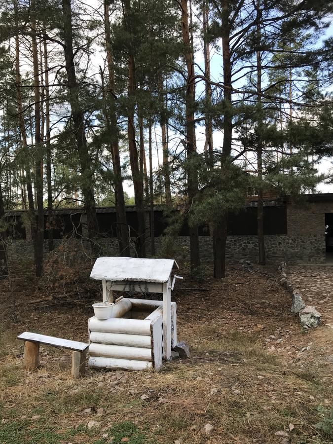 Загородные дома Eco dom v lesu Bila Krynytsya-32
