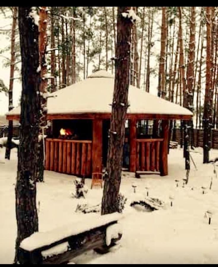 Загородные дома Eco dom v lesu Bila Krynytsya-34