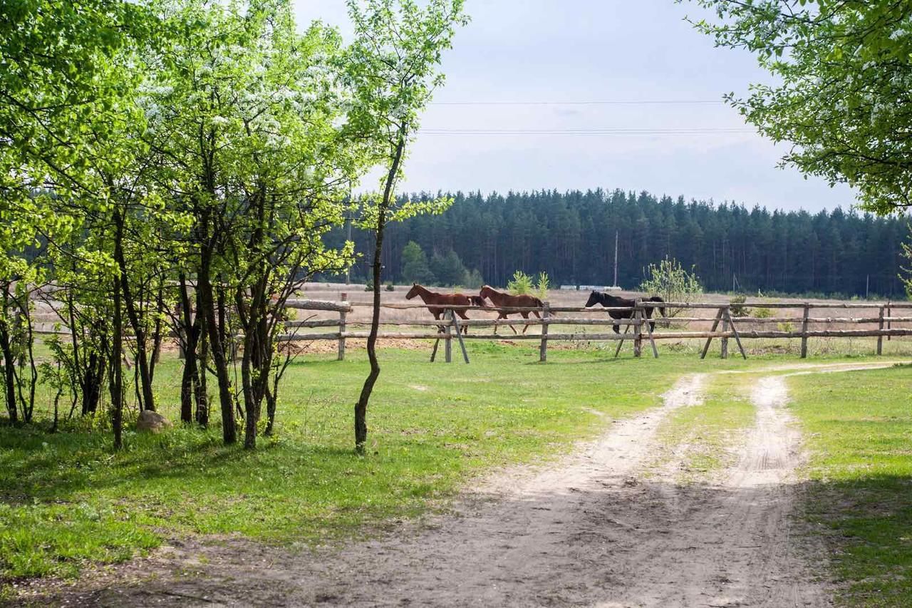 Загородные дома Eco dom v lesu Bila Krynytsya-39