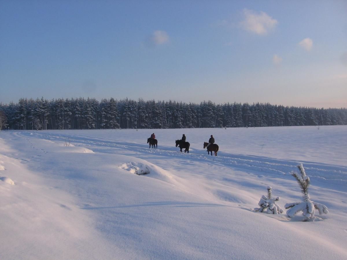 Загородные дома Eco dom v lesu Bila Krynytsya-40