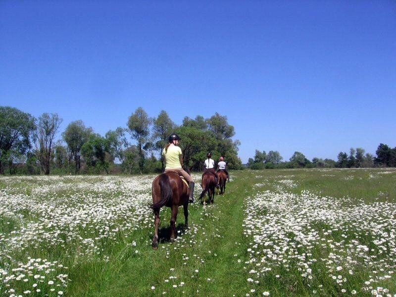 Загородные дома Eco dom v lesu Bila Krynytsya-44