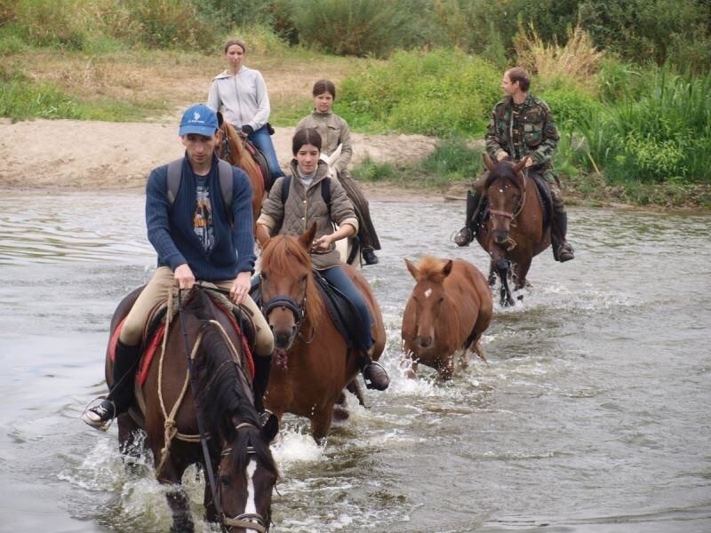Загородные дома Eco dom v lesu Bila Krynytsya-46