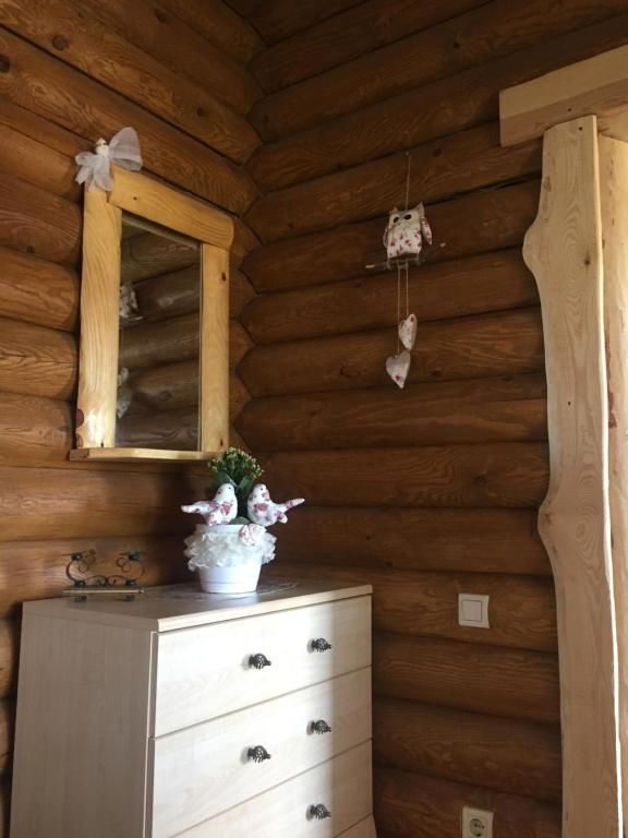 Загородные дома Eco dom v lesu Bila Krynytsya-47