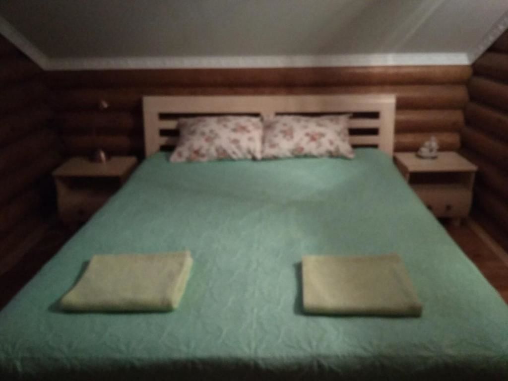 Загородные дома Eco dom v lesu Bila Krynytsya-48