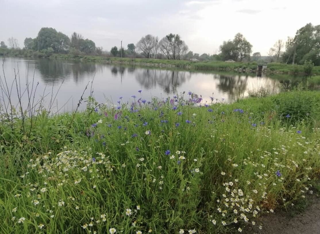 Загородные дома Eco dom v lesu Bila Krynytsya